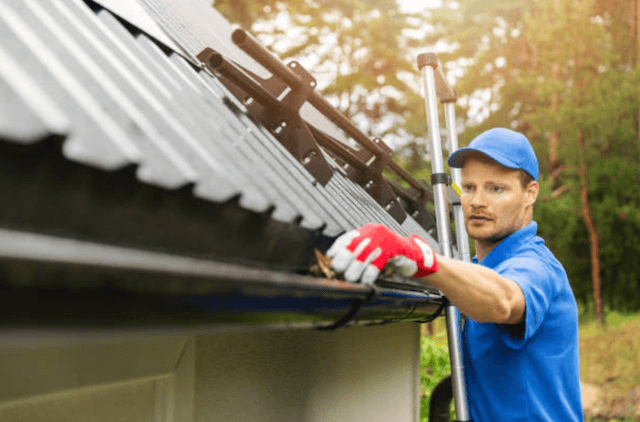 taunton gutter service